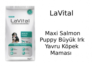 LaVital Maxi Salmon Puppy Büyük Irk Yavru Köpek Maması İncelemesi LaVital Maxi Salmon Puppy Büyük Irk Yavru Köpek Maması
