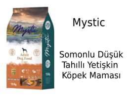 Mystic Somonlu Düşük Tahıllı Yetişkin Köpek Maması İncelemesi