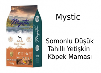 Mystic Somonlu Düşük Tahıllı Yetişkin Köpek Maması İncelemesi Mystic Somonlu Düşük Tahıllı Yetişkin Köpek Maması İncelemesi
