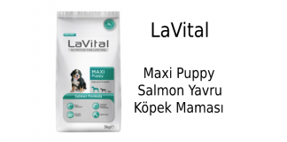 LaVital Maxi Puppy Salmon Yavru Köpek Maması