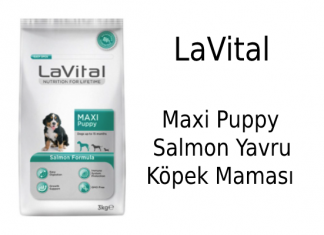 LaVital Maxi Puppy Salmon Yavru Köpek Maması