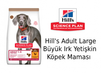 Hill's Adult Large Büyük Irk Yetişkin Köpek Maması