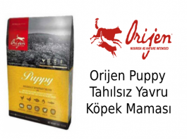 Orijen Puppy Tahılsız Yavru Köpek Maması