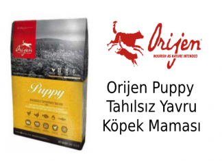 Orijen Puppy Tahılsız Yavru Köpek Maması