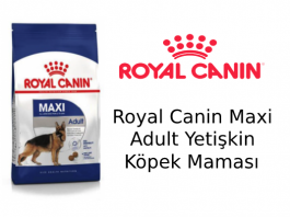 Royal Canin Maxi Adult Yetişkin Köpek Maması