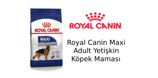 Royal Canin Maxi Adult Yetişkin Köpek Maması