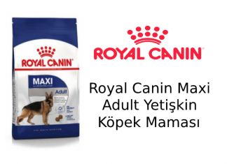 Royal Canin Maxi Adult Yetişkin Köpek Maması İncelemesi Royal Canin Maxi Adult Yetişkin Köpek Maması