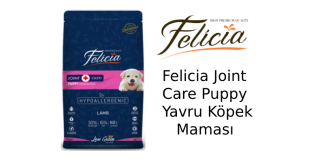 Felicia Joint Care Puppy Yavru Köpek Maması