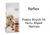 Reflex Puppy Büyük Irk Yavru Köpek Maması