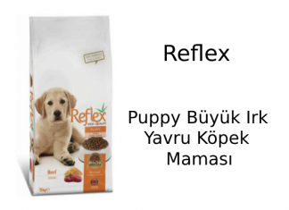 Reflex Puppy Büyük Irk Yavru Köpek Maması