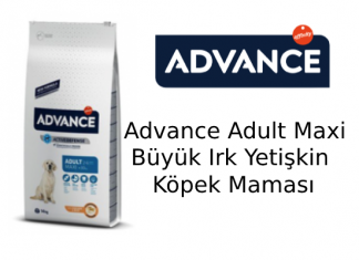 Advance Adult Maxi Büyük Irk Yetişkin Köpek Maması
