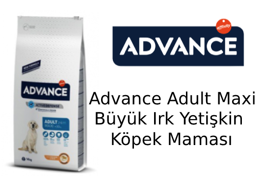 Advance Adult Maxi Büyük Irk Yetişkin Köpek Maması