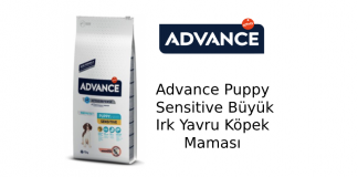 Advance Puppy Sensitive Büyük Irk Yavru Köpek Maması