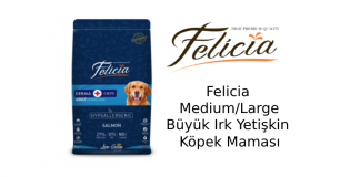 Felicia Medium/Large Büyük Irk Yetişkin Köpek Maması