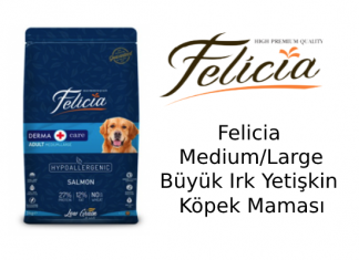 Felicia Somonlu Medium/Large Büyük Irk Yetişkin Köpek Maması İncelemesi Felicia Medium/Large Büyük Irk Yetişkin Köpek Maması