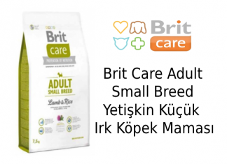 Brit Care Adult Small Breed Yetişkin Küçük Irk Köpek Maması