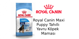 Royal Canin Maxi Puppy Tahıllı Yavru Köpek Maması