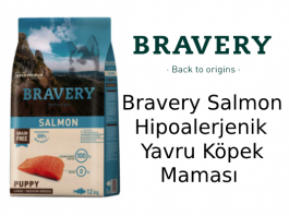 Bravery Salmon Hipoalerjenik Yavru Köpek Maması