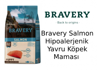 Bravery Salmon Hipoalerjenik Yavru Köpek Maması İncelemesi Bravery Salmon Hipoalerjenik Yavru Köpek Maması