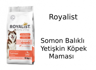 Royalist Special Selection Somon Balıklı Yetişkin Köpek Maması İncelemesi Royalist Special Selection Somon Balıklı Yetişkin Köpek Maması