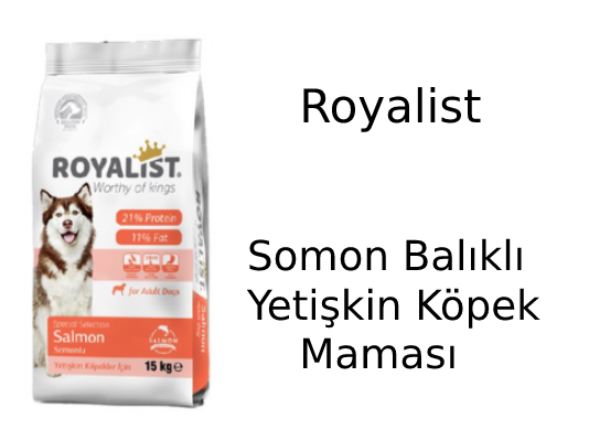 Royalist Special Selection Somon Balıklı Yetişkin Köpek Maması