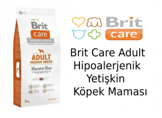 Brit Care Adult Medium Breed Hipoalerjenik Yetişkin Köpek Maması İncelemesi Brit Care Adult Medium Breed Hipoalerjenik Yetişkin Köpek Maması