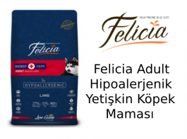 Felicia Adult Hipoalerjenik Yetişkin Köpek Maması
