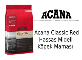 Acana Classic Red Hassas Mideli Köpek Maması İncelemesi Acana Classic Red Hassas Mideli Köpek Maması