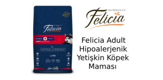 Felicia Adult Hipoalerjenik Yetişkin Köpek Maması