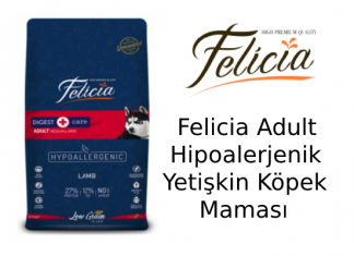 Felicia Adult Hipoalerjenik Yetişkin Köpek Maması