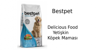 Bestpet Delicious Food Yetişkin Köpek Maması