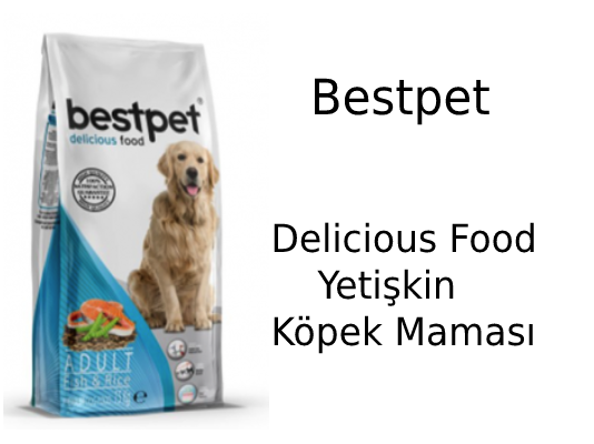 Bestpet Delicious Food Yetişkin Köpek Maması