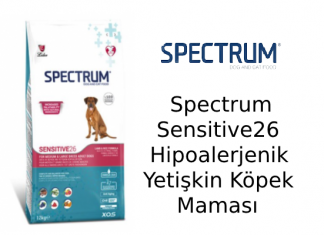 Spectrum Sensitive26 Hipoalerjenik Yetişkin Köpek Maması İncelemesi Spectrum Sensitive26 Hipoalerjenik Yetişkin Köpek Maması