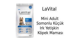 LaVital Mini Adult Somonlu Küçük Irk Yetişkin Köpek Maması İncelemesi