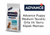 Advance Puppy Medium Tavuklu Orta Irk Yavru Köpek Maması