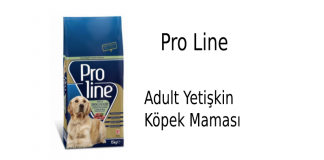 Pro Line Adult Yetişkin Köpek Maması