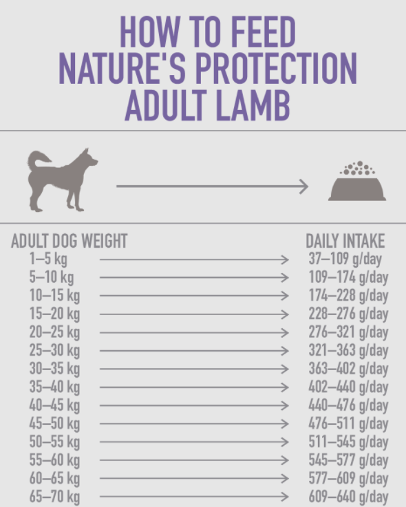 Natures Protection Adult Kuzu Etli Yetişkin Köpek Maması