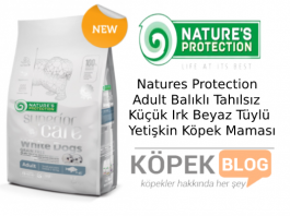 Natures Protection Adult Balıklı Tahılsız Küçük Irk Beyaz Tüylü Yetişkin Köpek Maması