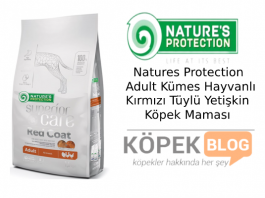 Natures Protection Adult Kümes Hayvanlı Kırmızı Tüylü Yetişkin Köpek Maması