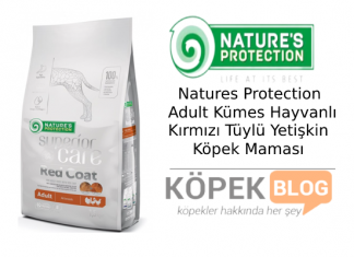Natures Protection Adult Kümes Hayvanlı Kırmızı Tüylü Yetişkin Köpek Maması