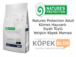 Natures Protection Adult Kümes Hayvanlı Siyah Tüylü Yetişkin Köpek Maması