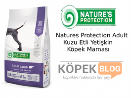 Natures Protection Adult Kuzu Etli Yetişkin Köpek Maması