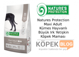 Natures Protection Maxi Adult Kümes Hayvanlı Büyük Irk Yetişkin Köpek Maması