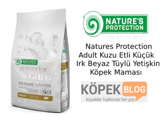 Natures Protection Adult Kuzu Etli Küçük Irk Beyaz Tüylü Yetişkin Köpek Maması