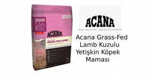 Acana Grass-Fed Lamb Kuzulu Yetişkin Köpek Maması