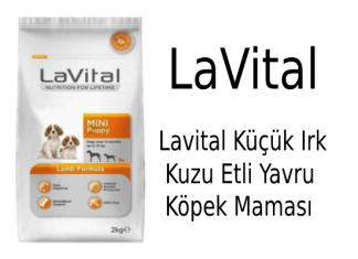 Lavital Küçük Irk Kuzu Etli Yavru Köpek Maması İncelemesi Lavital Küçük Irk Kuzu Etli Yavru Köpek Maması