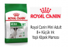 Royal Canin Mini Adult 8+ Küçük Irk Yaşlı Köpek Maması İncelemesi Royal Canin Mini Adult 8+ Küçük Irk Yaşlı Köpek Maması