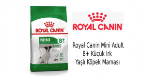 Royal Canin Mini Adult 8+ Küçük Irk Yaşlı Köpek Maması