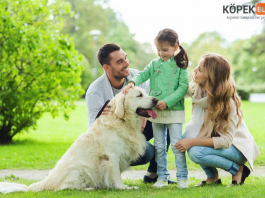 Köpekleri çocuklarlar tanıştırma