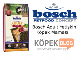 bosch kuzu etli yetişkin köpek maması